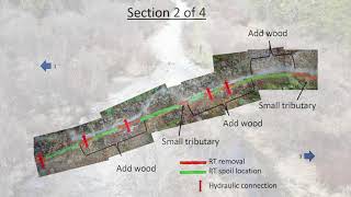 Year 1 Kootenay Connect: Ecosystems Enhancement Project, Bonanza Biodiversity Corridor