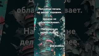 Напускная печаль не делает хорошим. #цитаты #цитатыожизни