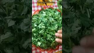 store coriander leaves for year #coriander #greenleaves