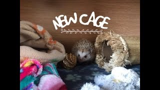 My Hedgehogs New Cage! (Vivarium for Puca)