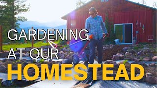 Montana Homesteading: Transforming Our Forested Garden 🌲🏡