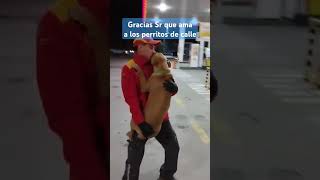 🐕 Perritu GASOLINERO ⛽ #perros #noalmaltrato #dog #karolg #dance #humor