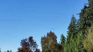 Sumner Wildfire - Firefighting Helicopter fly by from Bonney Lake Target