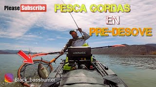 CONSEJOS para Pescar LOBINAS/bass GORDAS en PRE DESOVE es KAYAK ?!! PRE-SPAWN big fish!!