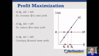 NEIU ECON Lecture Series 25 (Part 2): Profit Maximization under Perfect Competition