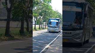 BUS BUDIMAN PENGUASA JALUR SELATAN #shorts