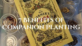 Companion Planting Benefits