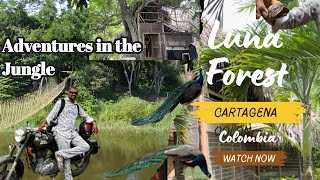 LUNA FOREST CARTAGENA || Adventures in the Jungle #vellankivlogs #teluguvlogs #Lunaforest #vairal