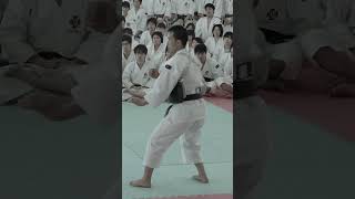 Dynamic Sparring Drills of Shorinji Kempo