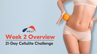 Cellulite Challenge Week 2 Overview  | Day 8 | MELT Method