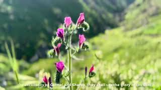 One minute of Israel, Wadi Feiran, Samaria