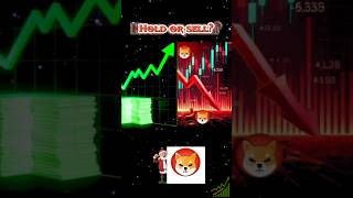 Shiba Inu 100x Rise will shib hit new highs shiba news shib updates #shorts