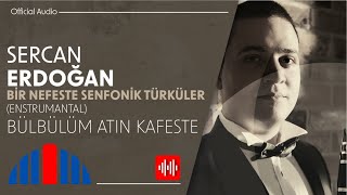 Sercan Erdoğan - Bülbülüm Altın Kafeste (Official Audio)