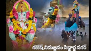 గణేష్ నిమజ్జనం my village  సిద్దార్థ నగర్  లో  subscribe to my channel 2022