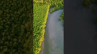 KM 45 Brgy. Manalo Puerto Princesa City  #palawanbeach  #drone #island #vacation