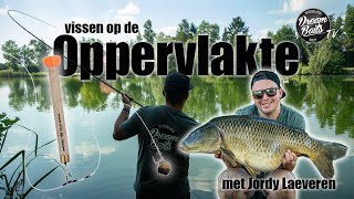 Karpervissen op  de oppervlakte