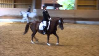 Reitturnier Gut Allegra Nency Dressur