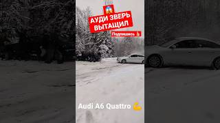 АУДИ ЗВЕРЬ #audi #авто #автомобили