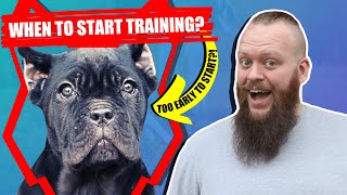 When Should I Start Training My CANE CORSO PUPPY?