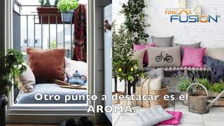 Tu Casa, Tu Vida: La Decoración de Balcones Urbanos