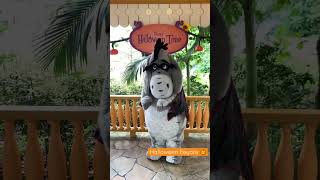 Disney Halloween Time, Eeyore. 23 Sep, 2022 Hong Kong Disneyland #disney #shorts #winniethepooh