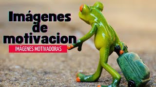 "Imágenes Motivadoras: Despertar de la Conciencia"