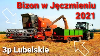 Bizon w Akcji 2021!!!  Żniwa jęczmienia Ozimego