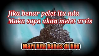 BAHAS PELET..JIKA PELET ITU ADA SAYA MAU MELET ARTIS