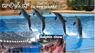 Dolphin Show ||Sea World||Telugu Vlogs from USA