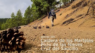 Caldera de los Marteles, Pozo de las Nieves (dic. 2020) #GranCanaria #CalderaMarteles #PozoNieve