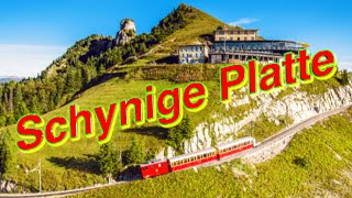 Switzerland - Jungfrau Region- Schynige Platte 2021