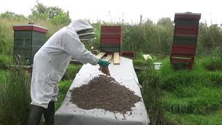 Carrying out a shook swarm