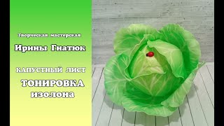 МК по тонировке капустного листа