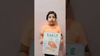 Few lines on Eagle for class 3 presentation | Birds- Eagle #eagle #presentation