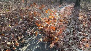 Removing leaves at the Paul Douglas Forest Preserve Mountain Bike Trail with the Echo PB-9010T