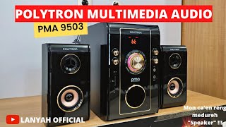 Review Speaker Polytron PMA 9503