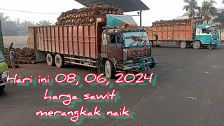 harga sawit merangkak naik truk tbs yang masuk banyak!!@suriadi kw loader