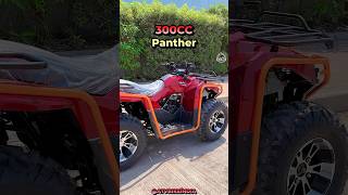 Best ATV In India 🔥 | 300 CC Panther 😻😻 #automobile #atvbikesindia #trendingshorts