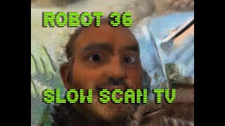 0067 Toonify SSTV Robot36