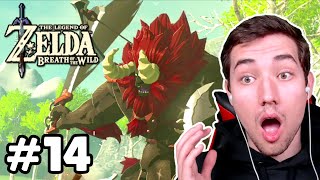 ICH TREFFE AUF LEUNE! | Zelda: Breath of the Wild #14