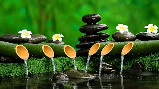 The Sound of Bamboo Water and Piano Music for Stress Relief - Relaxing Music for Sleep & Meditation