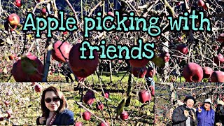 Japan’s Fuji Apple Picking | Kashomi83