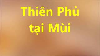 Trả lời bạn Mệnh thiên phủ tại Mùi