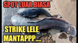 Mancing Liaran Strike Lele @gondrongbrewok