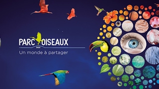 Diffusion en direct de Parc des Oiseaux