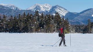 The Winter Scoop on Poop