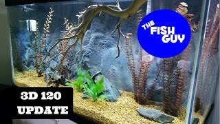 3d 120 Update - NEW FISH!  Paratilapia Bleekeri