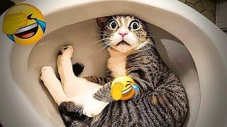 Best Funny Animals 2024😍Funniest Dogs and Cats😹🐶🐕‍🦺Part 6