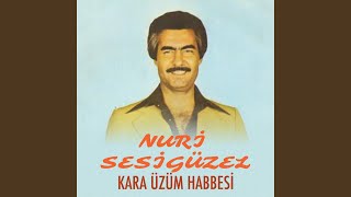 Suçum Nedir