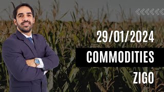 RELATÓRIO COMMODITIES 29/01/2024 - RESUMO E NOVIDADES NO ZIGO